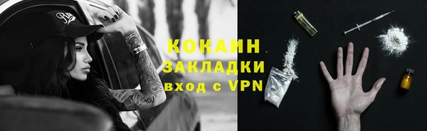 тгк Бородино