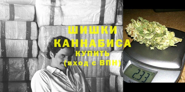 тгк Бородино