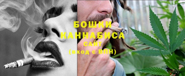 тгк Бородино